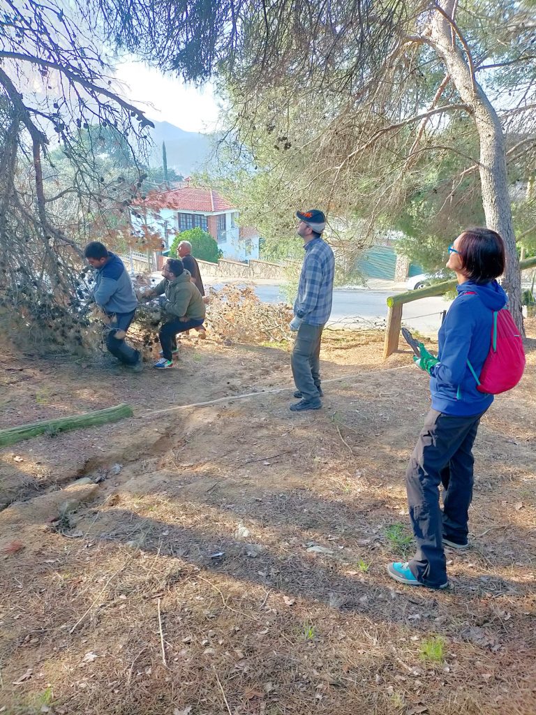 Durant aquesta setmana l’organització ha preparat l’espai del pessebre