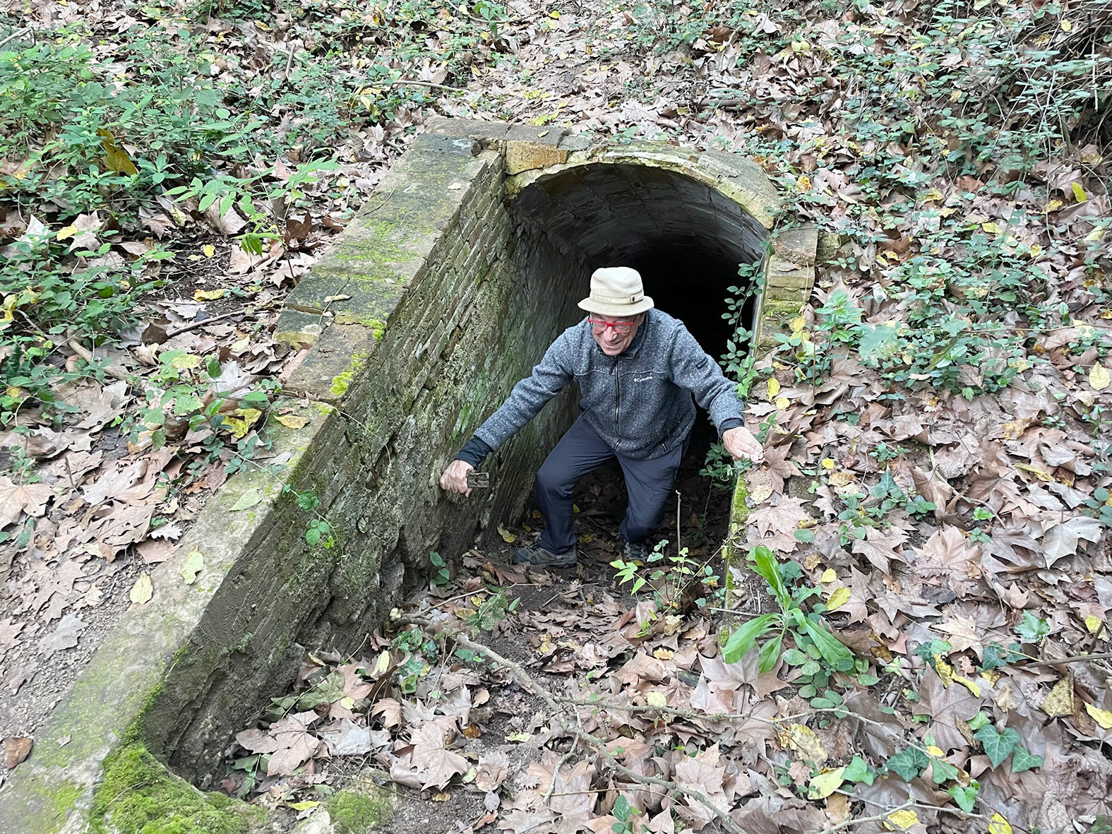 Les restes de l'antiga fàbrica enmig del bosc